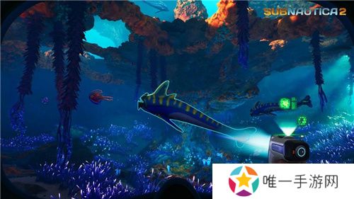 Unknown Worlds公开《Subnautica 2》最新信息