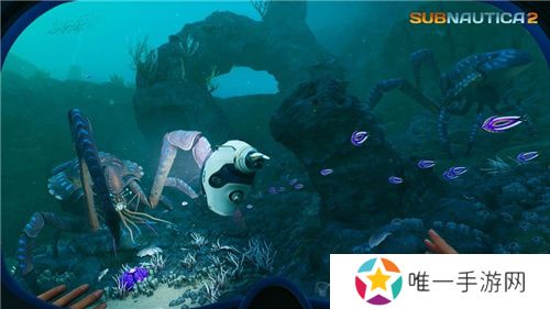 Unknown Worlds公开《Subnautica 2》最新信息